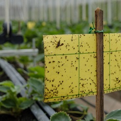 Sustainable Farming Blog